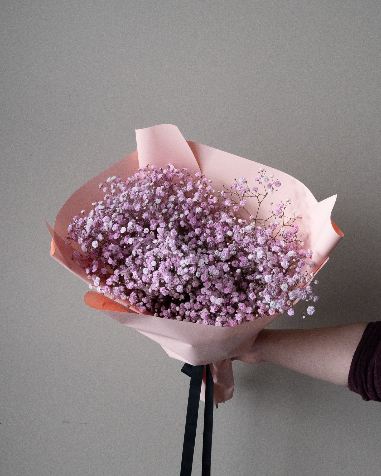 Pink dyed baby's breath in premium wrapped paper for delivery or pickup in Toronto.