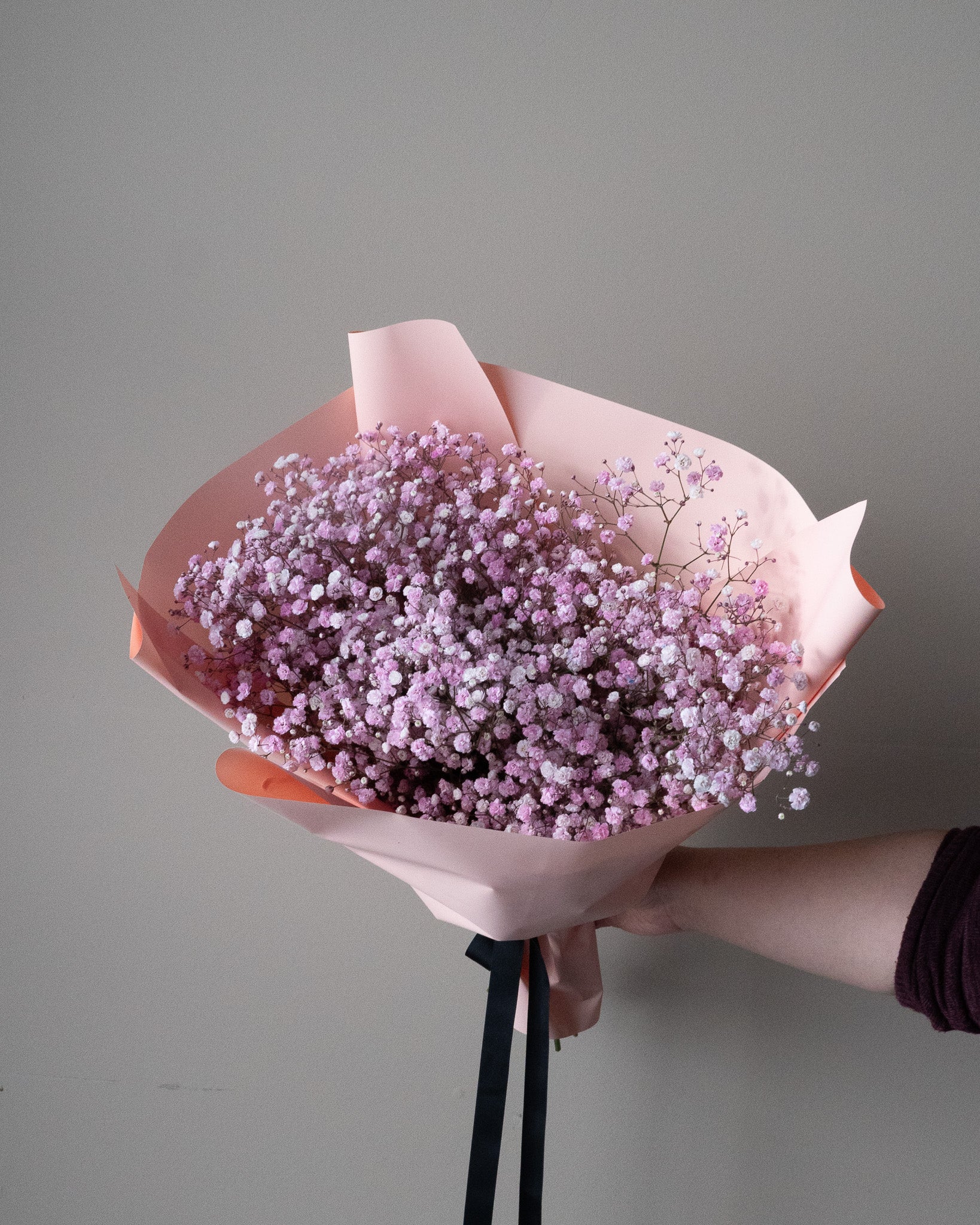 Pink dyed baby's breath in premium wrapped paper for delivery or pickup in Toronto.