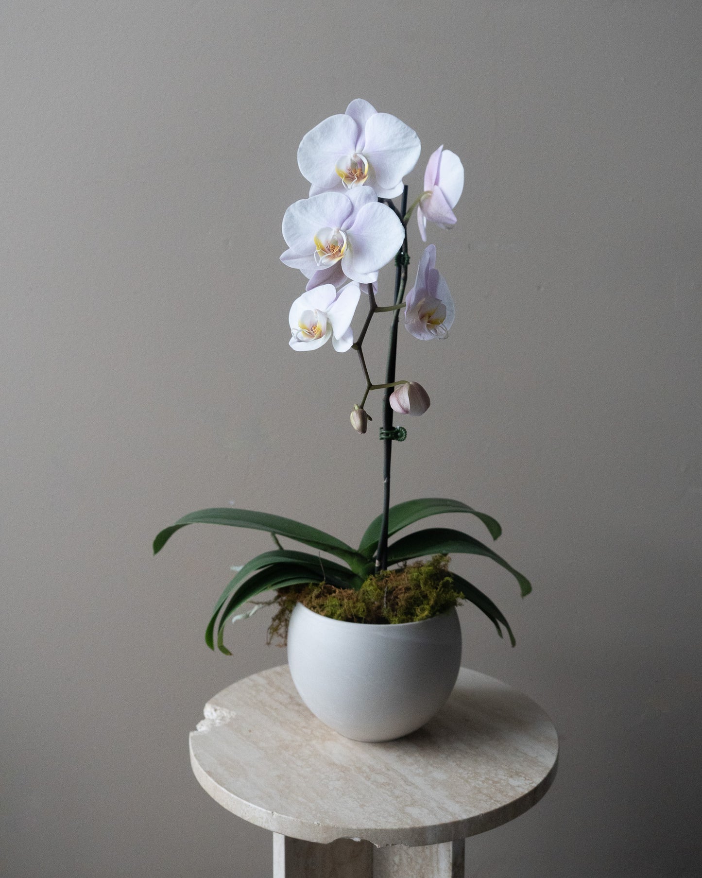 Cascading Orchid Bowl
