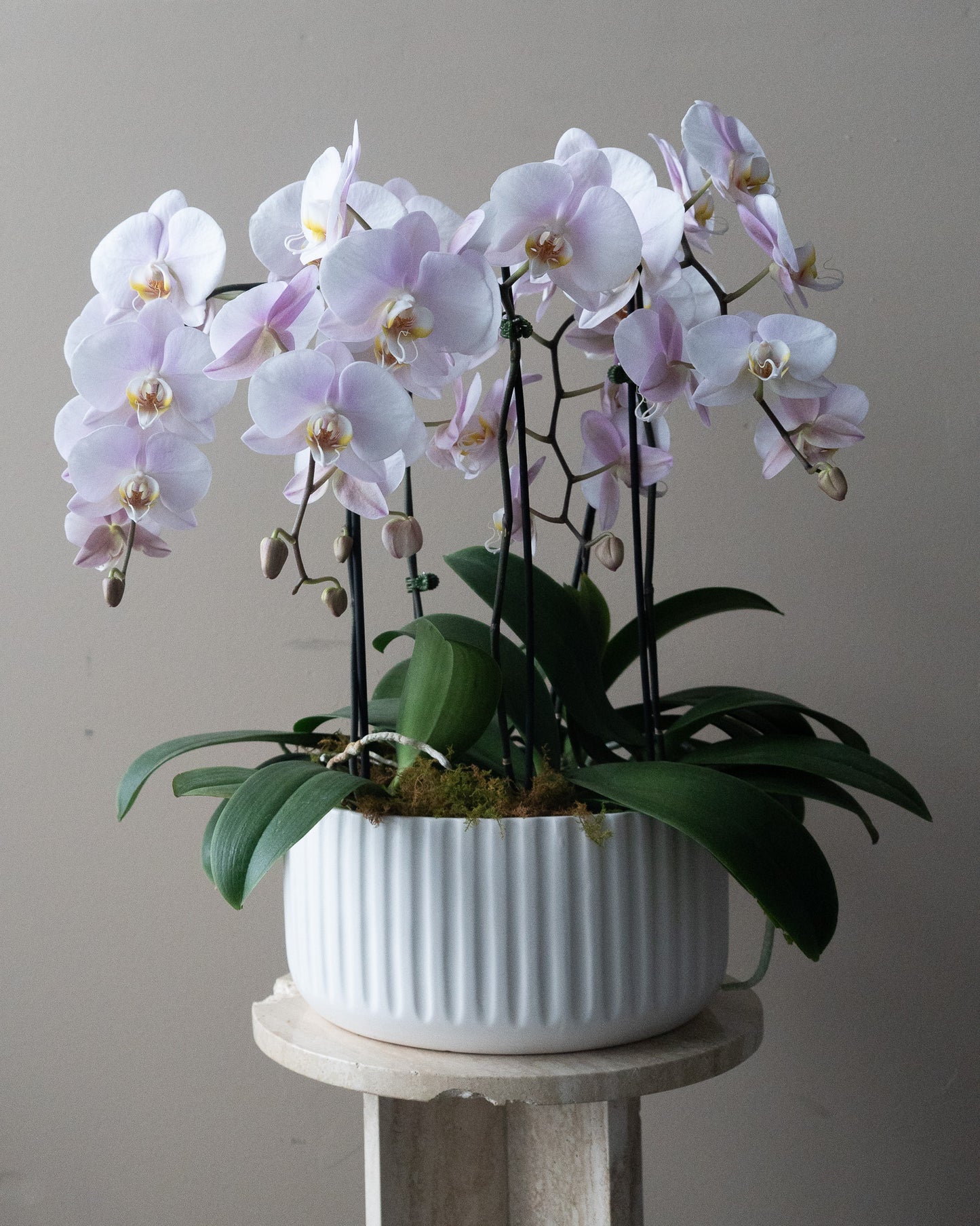 Large Orchid Bowl