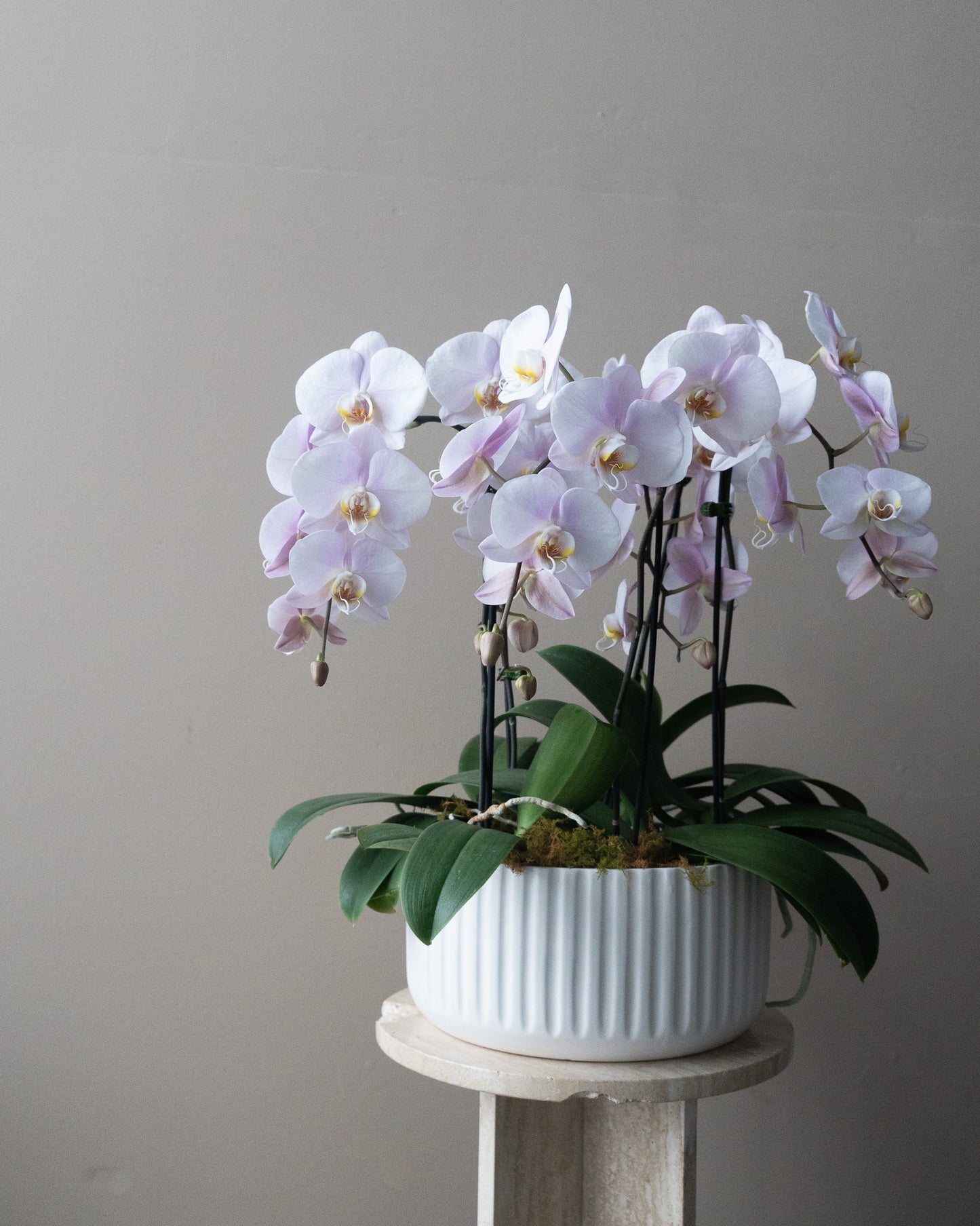 Large Orchid Bowl