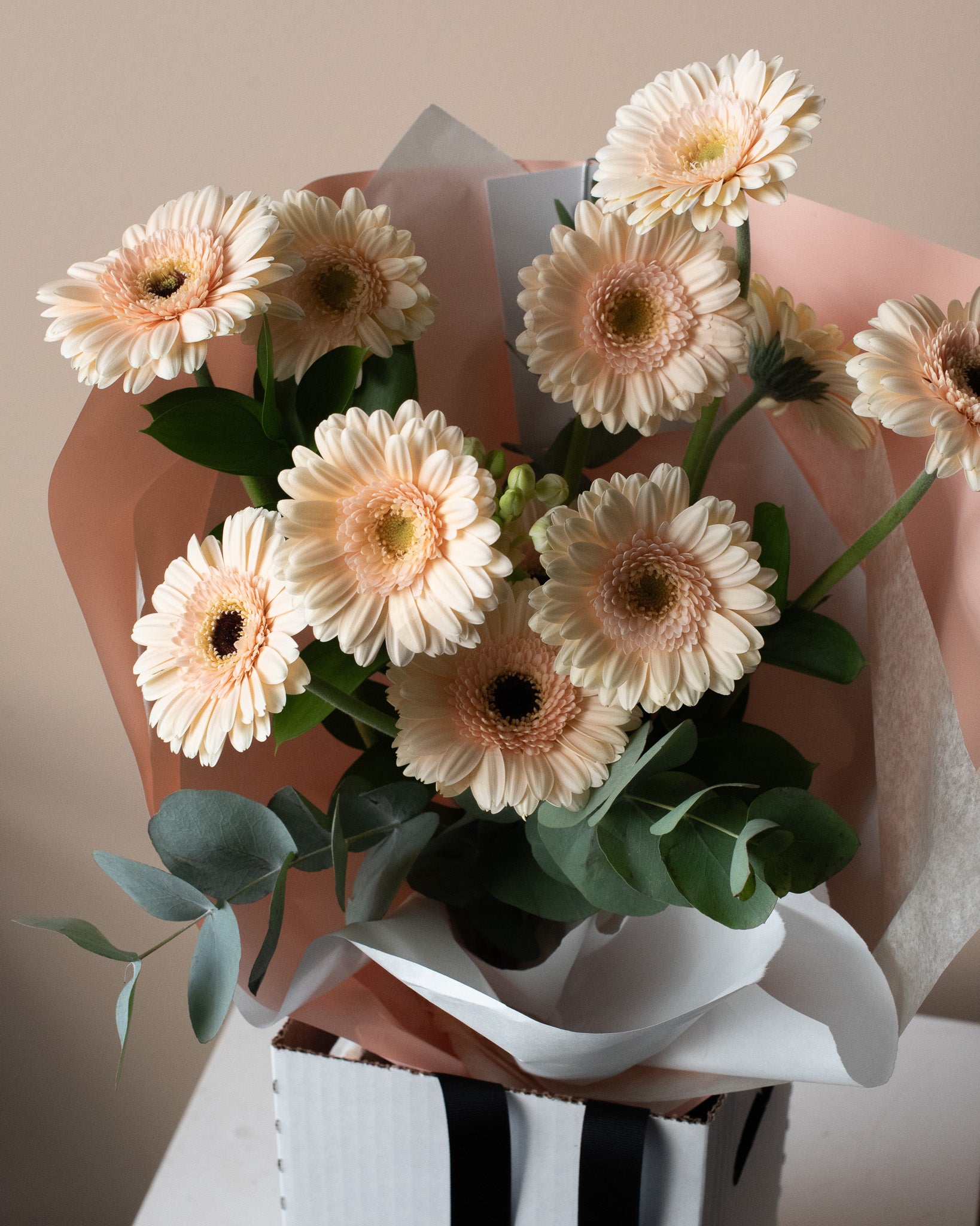 Bouquet of wrapped light pink daisies for delivery or pickup in Toronto.